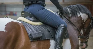 horseback riding weight limit